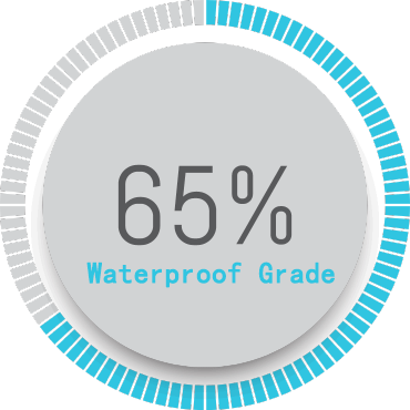 IP65 Waterproof Grade