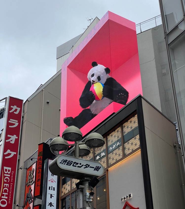 Shibuya 3D Billboard Panda