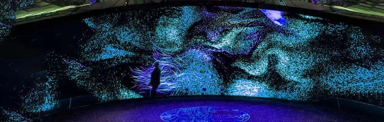 Immersive LED Display