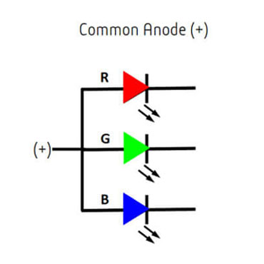 Common Anode